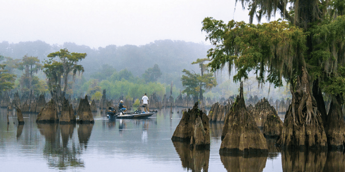 Northwest Florida State Parks | I-10 Exit Guide