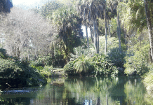 Top 5 Snowbird Destinations