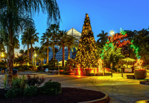 Plan Your Getaway To The Coolest Holiday Destination In The Southwest Moody Gardens | I-10 Exit Guide