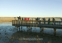 3 Perfect Days in New Mexico’s Old West Country Bosque del Apache National Wildlife Refuge | I-10 Exit Guide