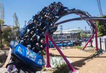 SeaWorld San Diego’s Dueling Roller Coaster ‘Tidal Twister’ Is Now Open Seaworld | I-10 Exit Guide