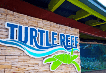 SeaWorld San Antonio Opens Turtle Reef Habitat, Two New Family Thrill Rides SeaWorld, San Antonio, Texas | I-10 Exit Guide