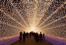 Southern California’s Largest Holiday Light Festival To Open In Norco Amaze Light Festival | I-10 Exit Guide