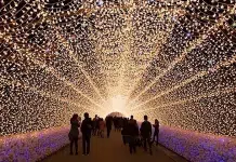 Southern California’s Largest Holiday Light Festival To Open In Norco Amaze Light Festival | I-10 Exit Guide