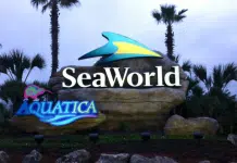 SeaWorld San Antonio Will Reopen on June 19 Seaworld, San Antonio | I-10 Exit Guide