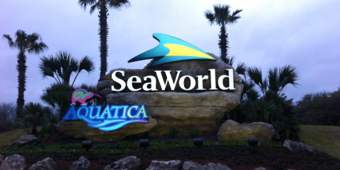 Seaworld, San Antonio | I-10 Exit Guide