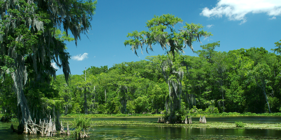 Big Bend Scenic Byway | I-10 Exit Guide