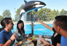 SeaWorld San Diego Reopens February 6 Seaworld San Diego | I-10 Exit Guide
