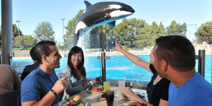 Seaworld San Diego | I-10 Exit Guide