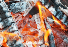 Payne’s RV Park – Theodore, AL payne’s-rv-park-–-theodore,-al