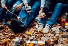 Quiet Oaks RV Park – Kinder, LA quiet-oaks-rv-park-–-kinder,-la