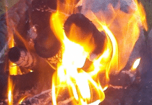 Frenchman’s Wilderness Campground – Breaux Bridge, LA frenchman’s-wilderness-campground-–-breaux-bridge,-la