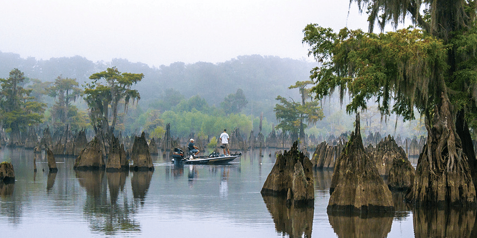 Dead Lakes State Recreation Area | I-10 Exit Guide