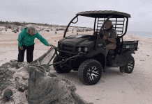 Snowbirds & Shorebirds Alike Flock to Gulf County Florida as Nesting Season Begins! Gulf County, Florida | I-10 Exit Guide