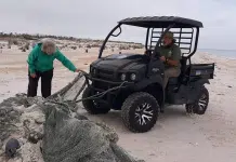 Snowbirds & Shorebirds Alike Flock to Gulf County Florida as Nesting Season Begins! Gulf County, Florida | I-10 Exit Guide