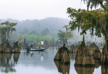 Northwest Florida’s State Parks: Easy Access to Variety, Adventure and Open Spaces Northwest Florida State Parks | I-10 Exit Guide