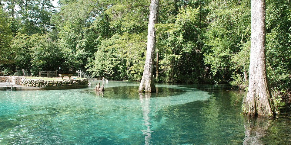 Ponce de Leon Springs State Park : I-10 Exit Guide