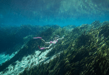 Dive Into Jackson County, Florida’s Outdoor Adventures Florida's Jackson County-Recreation | I-10 Exit Guide