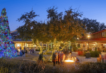 Christmas at the Caverns Returns to Natural Bridge Caverns Natural Bridge Caverns | I-10 Exit Guide