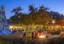 Christmas at the Caverns Returns to Natural Bridge Caverns Natural Bridge Caverns | I-10 Exit Guide