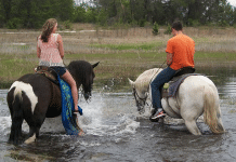 From a Gator Farm to a Wolf Preserve, There’s Untamed Family Fun Here Washington County, Florida | I-10 Exit Guide