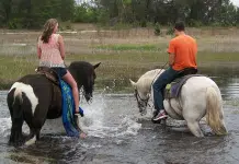 From a Gator Farm to a Wolf Preserve, There’s Untamed Family Fun Here Washington County, Florida | I-10 Exit Guide