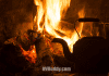 Cherry Blossom RV Resort – Crescent City, Florida cherry-blossom-rv-resort-–-crescent-city,-fl