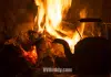Cherry Blossom RV Resort – Crescent City, Florida cherry-blossom-rv-resort-–-crescent-city,-fl