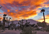 Catalina Spa RV Resort – Desert Hot Springs, California catalina-spa-rv-resort-–-desert-hot-springs,-ca