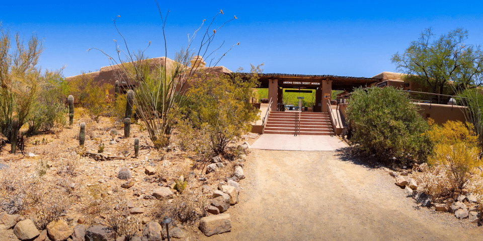 Arizona-Senora Desert Museum - Tucson, Arizona | I-10 Exit Guide
