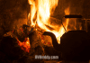 Chattahoochee RV Park & Campground – Chattahoochee, Florida chattahoochee-rv-park-&-campground-–-chattahoochee,-fl