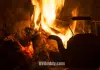 Chattahoochee RV Park & Campground – Chattahoochee, Florida chattahoochee-rv-park-&-campground-–-chattahoochee,-fl