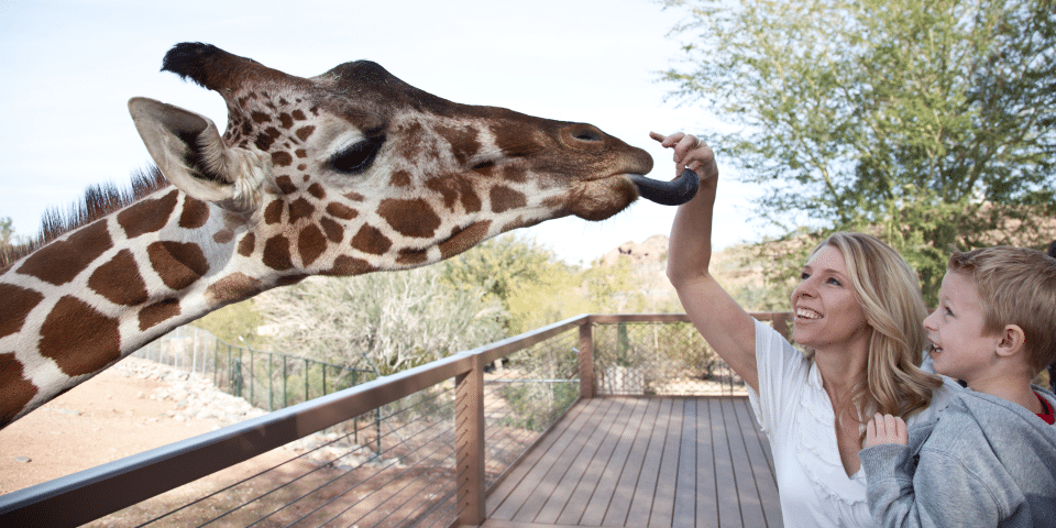 Phoenix Zoo | I-10 Exit Guide