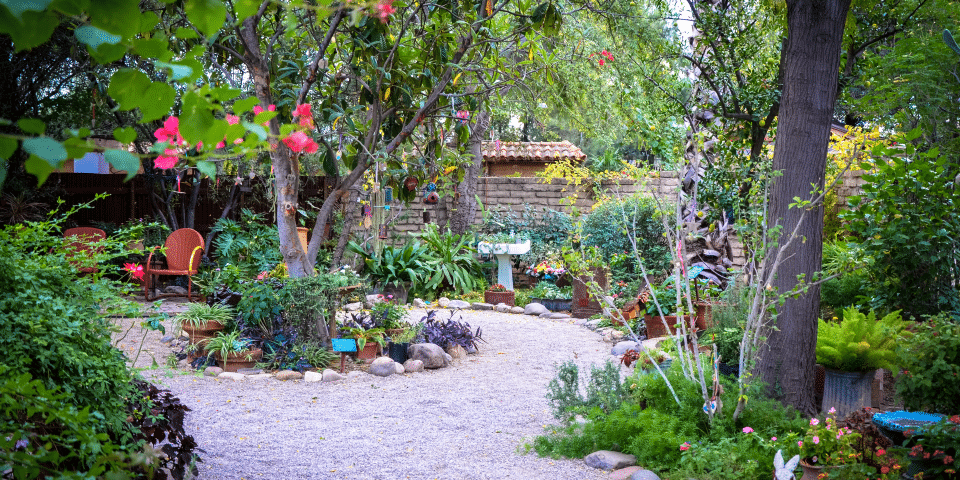 Tucson Botanical Gardens | I-10 Exit Guide
