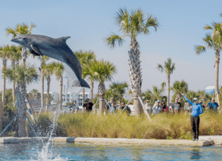 Gulfarium Marine Adventure Park – Fort Walton Beach, FL Photo Credit: Gulfarium Marine Adventure Park