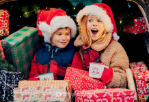 Over 119 Million American Will Travel This Christmas Holiday I-10 Christmas Travel | I-10 Exit Guide