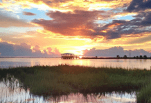 Gulf County’s Simple Pleasures: Sunrises and Sunsets to Remember Gulf County, Florida | I-10 Exit Guide