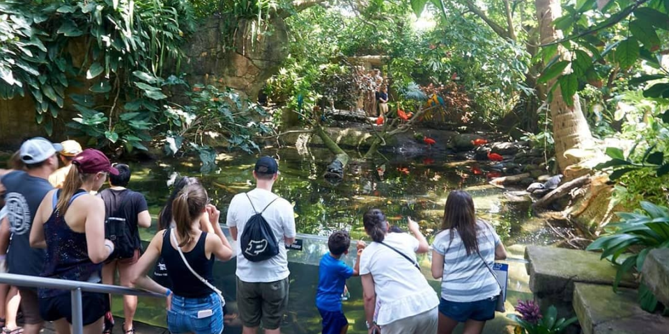 Moody Gardens | I-10 Exit Guide