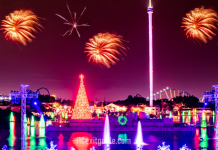 SeaWorld Parks Light Up the Season with Dazzling Displays, New Holiday Entertainment Seaworld | I-10 Exit Guide