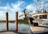 Cajun Corridor Byway Cajun Corridor- Byway | I-10 Exit Guide