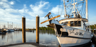 Cajun Corridor Byway Cajun Corridor- Byway | I-10 Exit Guide