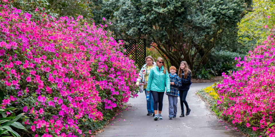 Bellingrath Gardens & Home - Theodore, Alabama | I-10 Exit Guide