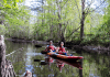 Connected by Nature: Three Louisiana Parishes Combine for One Beautiful Outdoor Adventure Louisiana Parishes Connected by Nature | I-10 Exit Guide