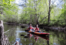 Connected by Nature: Three Louisiana Parishes Combine for One Beautiful Outdoor Adventure Louisiana Parishes Connected by Nature | I-10 Exit Guide