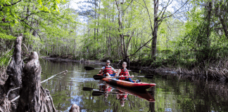 Connected by Nature: Three Louisiana Parishes Combine for One Beautiful Outdoor Adventure Louisiana Parishes Connected by Nature | I-10 Exit Guide