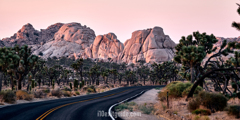 Joshua Tree National Park | I-10 Exit Guide