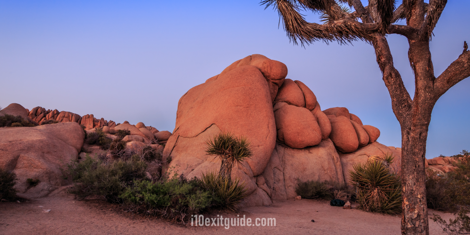 Joshua Tree National Park | I-10 Exit Guide