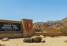 Joshua Tree National Park – Twentynine Palms, California Joshua Tree National Park | I-10 Exit Guide