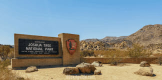 Joshua Tree National Park – Twentynine Palms, California Joshua Tree National Park | I-10 Exit Guide